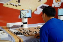 笼盖从入门到业余高段以至职业段位的陪练